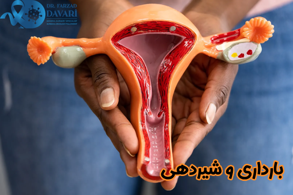 بارداری و شیردهی